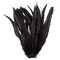Zucker Rooster Coque Tails Dyed 9"-12" 25/Pkg-Black Iridescent